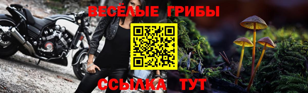 Псилоцибиновые грибы Cubensis  Вход с VPN  Щёкино 